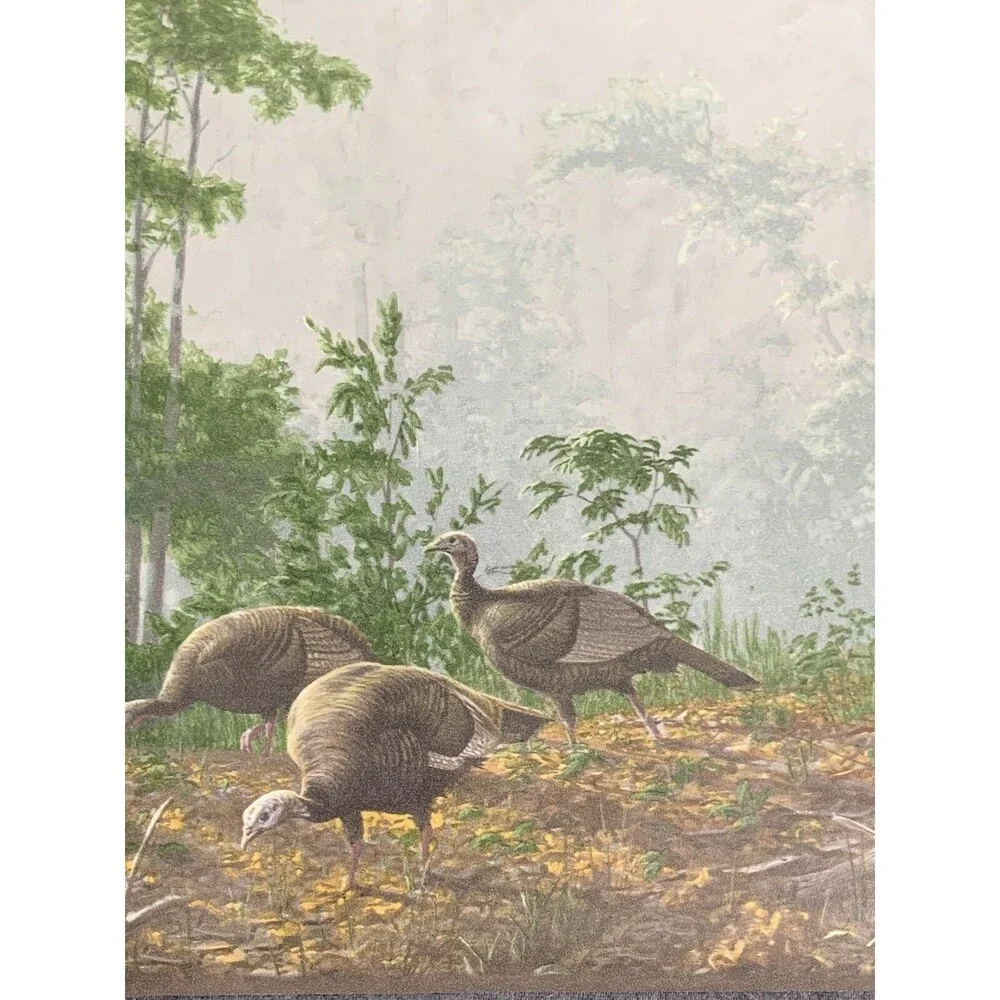 Seabrook Designs Wild Turkey Prepasted Wallpaper Border HG522B X 3 rolls